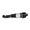 Mercedes-Benz E Class W211 AMG Right Front Air Suspension Shock A2113206413